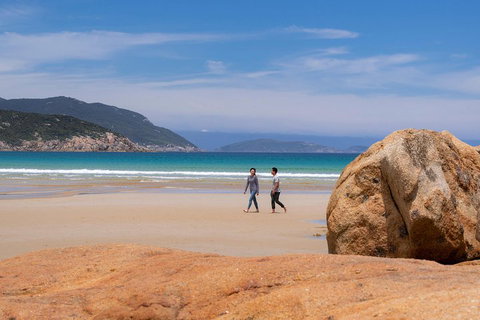 Wilsons Promontory Private 1 Day Tour - Newcastle Accommodation 2