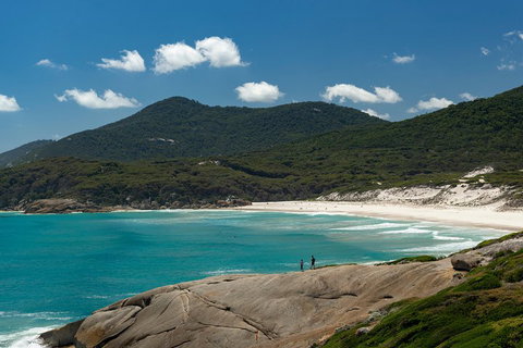 Wilsons Promontory Private 1 Day Tour - Newcastle Accommodation 5