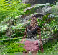 Full-Day Guided Hinterland Adventure Tour in Queensland - Newcastle Accommodation