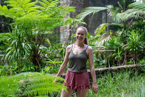 Full-Day Guided Hinterland Adventure Tour In Queensland - Newcastle Accommodation 0