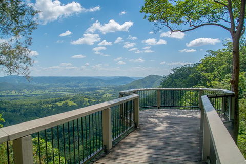 Full-Day Guided Hinterland Adventure Tour In Queensland - Newcastle Accommodation 2