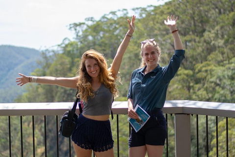 Full-Day Guided Hinterland Adventure Tour In Queensland - Newcastle Accommodation 3