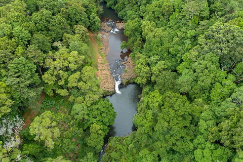 Full-Day Guided Hinterland Adventure Tour In Queensland - Newcastle Accommodation 4