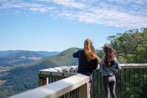 Full-Day Guided Hinterland Adventure Tour In Queensland - Newcastle Accommodation 5