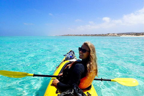 Lagoon Explorer - Ningaloo Reef Full-Day Kayaking And Snorkeling Adventure - Newcastle Accommodation 1