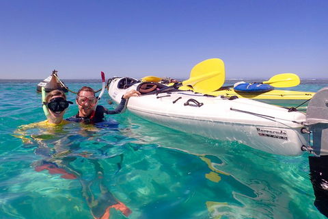 Lagoon Explorer - Ningaloo Reef Full-Day Kayaking And Snorkeling Adventure - Newcastle Accommodation 3