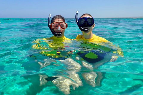 Lagoon Explorer - Ningaloo Reef Full-Day Kayaking And Snorkeling Adventure - Newcastle Accommodation 4