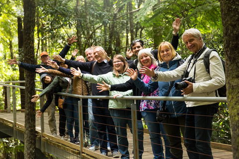All Inclusive Blue Mountains Small-Group Day Trip From Sydney - Newcastle Accommodation 5
