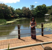 Mt Tamborine Full Day Wine Tour