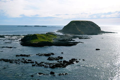 Puffing Billy, Wildlife Sanctuary & Penguins Day Tour From Melbourne - Newcastle Accommodation 1