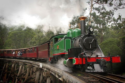 Puffing Billy, Wildlife Sanctuary & Penguins Day Tour From Melbourne - Newcastle Accommodation 5