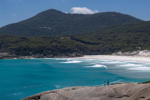Wilson's Promontory Small Group Eco Tour From Melbourne - Newcastle Accommodation 0