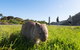 Wilson's Promontory Small Group Eco Tour From Melbourne - thumb 2