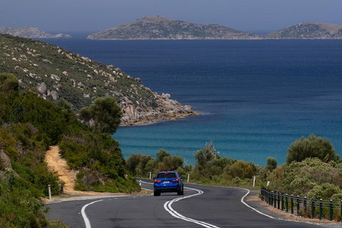 Wilson's Promontory Small Group Eco Tour From Melbourne - Newcastle Accommodation 5