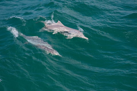 North Stradbroke Island Private Tour With Pickup - Newcastle Accommodation 0