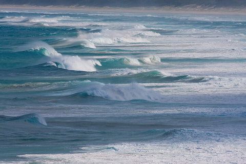 North Stradbroke Island Private Tour With Pickup - Newcastle Accommodation 3