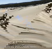 Port Stephens Bush Beach and Sand Dune 4WD Tag-Along Tour - Newcastle Accommodation