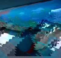 Great Barrier Reef Day Cruise to Reefworld - Newcastle Accommodation