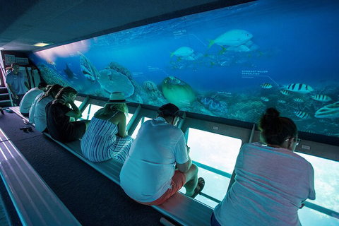 Great Barrier Reef Day Cruise To Reefworld - Newcastle Accommodation 0