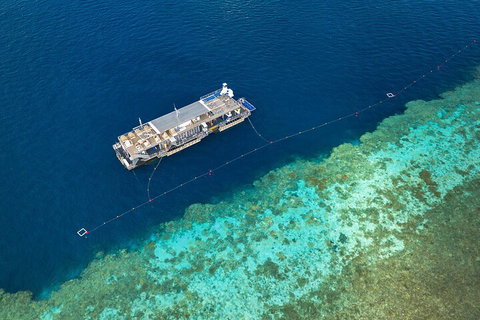 Great Barrier Reef Day Cruise To Reefworld - Newcastle Accommodation 2