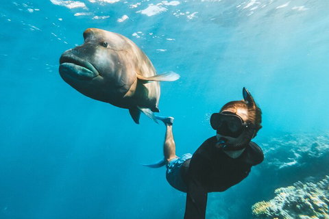 Great Barrier Reef Day Cruise To Reefworld - Newcastle Accommodation 3