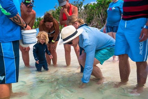 Whitehaven Beach And Hamilton Island Cruise - Newcastle Accommodation 1