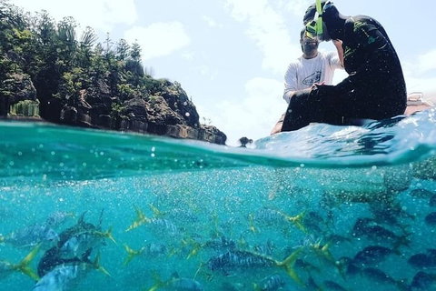 2 Night Small Group Whitsundays Sailing Adventure Aboard Mandrake - Newcastle Accommodation 5