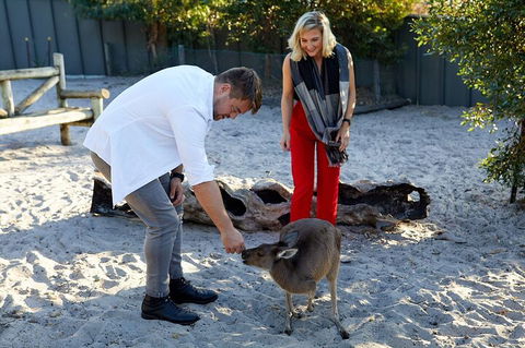 Albany's Whale Story - Newcastle Accommodation 1