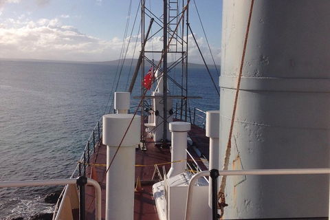 Albany's Whale Story - Newcastle Accommodation 2