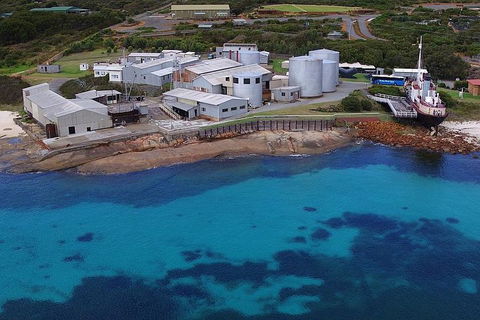 Albany's Whale Story - Newcastle Accommodation 4