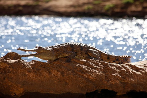 Windjana Explorer - Newcastle Accommodation 5