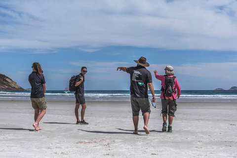 Wilsons Promontory Day Trip From Melbourne - Newcastle Accommodation 1