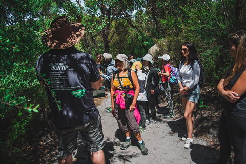 Wilsons Promontory Day Trip From Melbourne - Newcastle Accommodation 2
