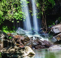Full Day Small Group Luxury Tour to Tamborine Mountain