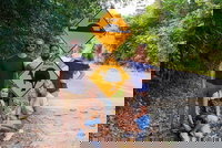 Cape Tribulation Daintree Rainforest and Wildlife Tour