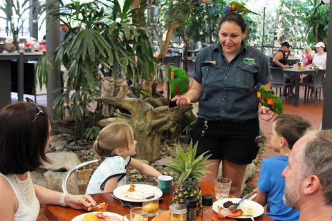 Wildlife Habitat Port Douglas - Newcastle Accommodation 2