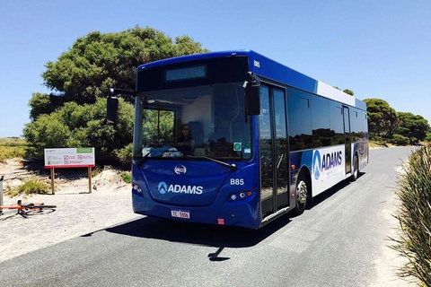 Rottnest Bayseeker Bus Tour From Hillarys Boat Harbour - Newcastle Accommodation 0