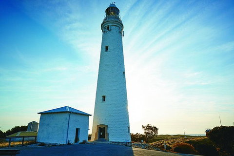 Rottnest Bayseeker Bus Tour From Hillarys Boat Harbour - Newcastle Accommodation 2