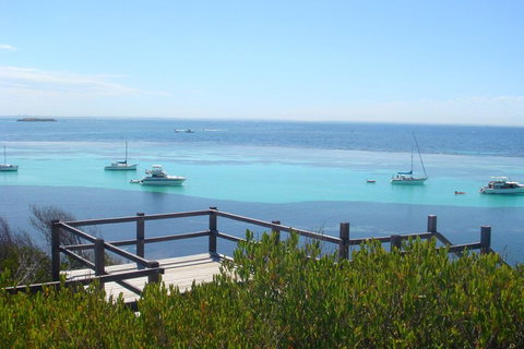 Rottnest Bayseeker Bus Tour From Hillarys Boat Harbour - Newcastle Accommodation 3