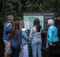 Sunshine Coast Hinterland and Noosa Day Trip from Brisbane Including Eumundi Markets and Ginger Factory