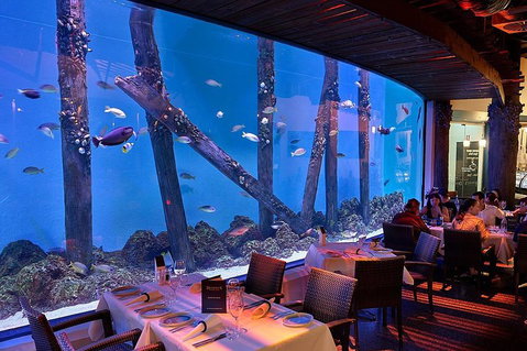 Cairns Aquarium And Small Group City Sightseeing Tour - Newcastle Accommodation 4