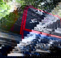 Blue Mountains Hop-on Hop-off Tour with Optional Scenic World Rides - Newcastle Accommodation