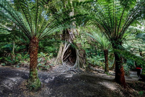 Adelaide To Melbourne 3-Day Trip Through Grampians And Great Ocean Road - Newcastle Accommodation 0