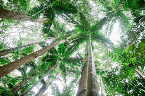 Fraser Explorer K'gari 2-Day Tour - Newcastle Accommodation 2