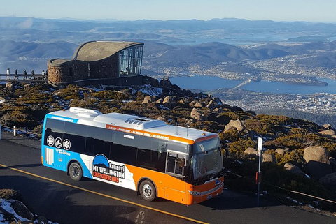 Hobart Hop-On Hop-Off Bus & Kunanyi/Mt Wellington Tour - Newcastle Accommodation 3