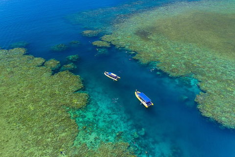 Great Barrier Reef Scenic Flight And Ocean Rafting Whitehaven Beach Day Trip - Newcastle Accommodation 4
