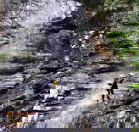 Full-Day Canyoning Experience at Stunning Empress Canyon - Newcastle Accommodation