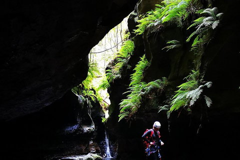 Full-Day Canyoning Experience At Stunning Empress Canyon - New Castle Tourism 2