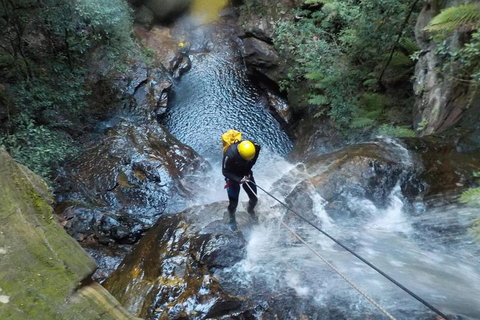 Full-Day Canyoning Experience At Stunning Empress Canyon - New Castle Tourism 4