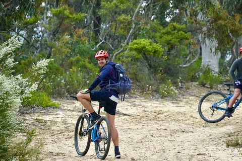 Blue Mountains Hanging Rock SELF-GUIDED Mountain Bike Hire Service - New Castle Tourism 4